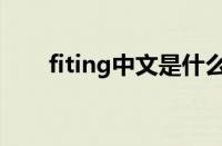 fiting中文是什么意思（fiting加油）