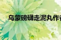 乌蒙磅礴走泥丸作者（乌蒙磅礴走泥丸）