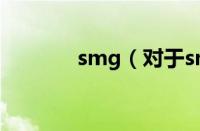 smg（对于smg的情况介绍）