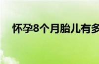 怀孕8个月胎儿有多大（孕8个月胎儿图）