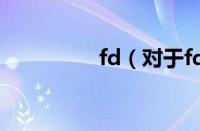 fd（对于fd的情况介绍）