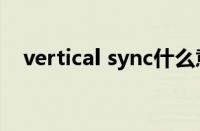 vertical sync什么意思（sync什么意思）