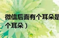 微信后面有个耳朵是什么意思（微信对话框有个耳朵）