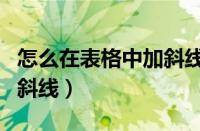 怎么在表格中加斜线并写字（怎么在表格中加斜线）