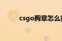 csgo胸章怎么获得（csgo胸章）