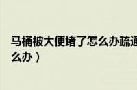 马桶被大便堵了怎么办疏通马桶有妙招（马桶被大便堵了怎么办）