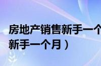 房地产销售新手一个月能赚多少（房地产销售新手一个月）