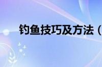 钓鱼技巧及方法（夏季钓鱼技巧大全）