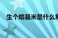 生个哈基米是什么意思 目前是什么情况？