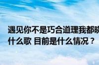 遇见你不是巧合道理我都晓得止不住的靠近温度都变燥热是什么歌 目前是什么情况？