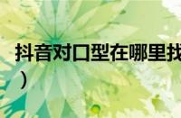 抖音对口型在哪里找到（抖音对口型在哪里找）