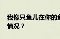 我像只鱼儿在你的鱼塘是什么梗 目前是什么情况？