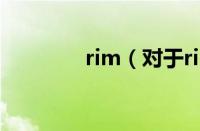 rim（对于rim的情况介绍）