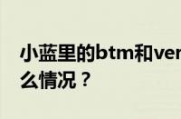 小蓝里的btm和vers和tp什么意思 目前是什么情况？