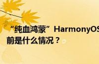 “纯血鸿蒙”HarmonyOS NEXT首发体验出炉多久开放 目前是什么情况？