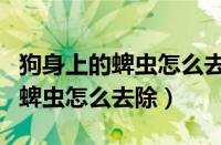 狗身上的蜱虫怎么去除要用土方法（狗身上的蜱虫怎么去除）