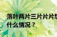 落叶两片三片片片想念下一句是什么 目前是什么情况？