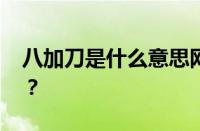 八加刀是什么意思网络用语 目前是什么情况？