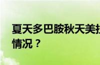 夏天多巴胺秋天美拉德是什么梗 目前是什么情况？