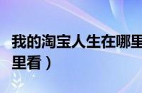 我的淘宝人生在哪里看到（我的淘宝人生在哪里看）