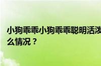 小狗乖乖小狗乖乖聪明活泼啊淘气又可爱是什么歌 目前是什么情况？