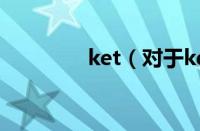 ket（对于ket的情况介绍）