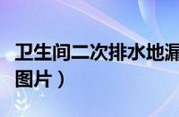 卫生间二次排水地漏图片（地漏和下水管连接图片）