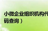 小微企业组织机构代码查询（企业组织机构代码查询）