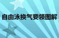 自由泳换气要领图解（自由泳换气技巧图解）