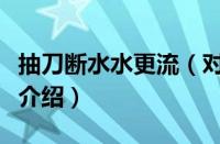 抽刀断水水更流（对于抽刀断水水更流的情况介绍）