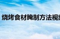 烧烤食材腌制方法视频（烧烤食材腌制方法）