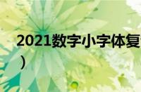 2021数字小字体复制（数字小字体可复制的）