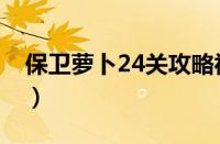 保卫萝卜24关攻略视频（保卫萝卜24关攻略）