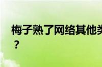 梅子熟了网络其他类有哪些 目前是什么情况？