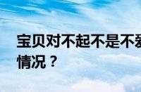 宝贝对不起不是不爱你是什么歌 目前是什么情况？