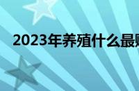 2023年养殖什么最赚钱 目前是什么情况？