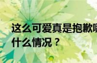 这么可爱真是抱歉哪部动漫里的歌曲 目前是什么情况？