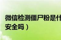 微信检测僵尸粉是什么意思（微信检测僵尸粉安全吗）