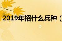 2019年招什么兵种（2019招兵时间和条件）