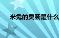 米兔的臭肠是什么梗 目前是什么情况？