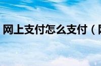 网上支付怎么支付（网上支付功能怎么开通）