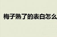 梅子熟了的表白怎么拒绝 目前是什么情况？