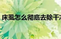 床虱怎么彻底去除干净（床虱怎么彻底去除）