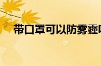 带口罩可以防雾霾吗（口罩能防雾霾吗）