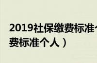 2019社保缴费标准个人交多少（2019社保缴费标准个人）