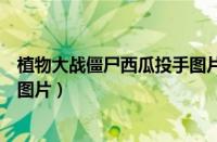 植物大战僵尸西瓜投手图片简笔画（植物大战僵尸西瓜投手图片）