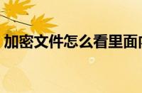 加密文件怎么看里面内容（加密文件怎么看）