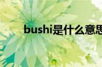 bushi是什么意思 目前是什么情况？