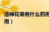 洛神花果有什么药用价值（洛神花果子有什么用）