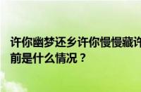 许你幽梦还乡许你慢慢藏许你三冬暖许你春不寒是什么歌 目前是什么情况？